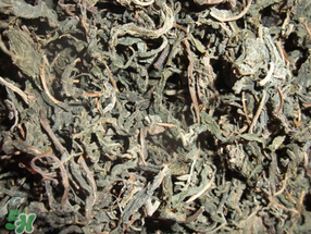 香椿可以曬干嗎？香椿怎么曬干？