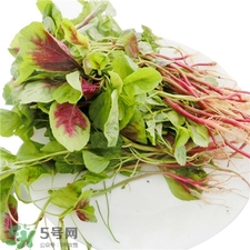 莧菜根的營養(yǎng)價值 莧菜根的功效與作用 莧菜根的營養(yǎng)價值 莧菜根的功效與作用