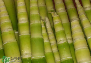 竹筍不焯水有毒嗎？竹筍不過水能吃嗎？