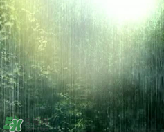 四月份會(huì)一直下雨嗎？2017年四月份為什么一直下雨？