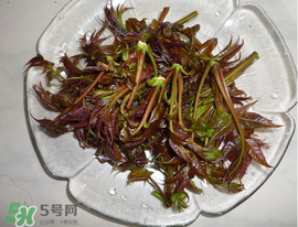 涼拌香椿要過水嗎？香椿涼拌前需要用開水焯一下嗎？