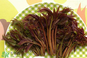 香椿芽可以冷凍嗎？香椿芽怎么冷凍？