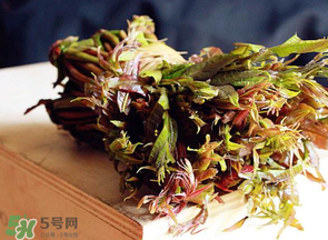 香椿很貴嗎？香椿為什么那么貴？