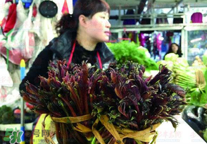 香椿很貴嗎？香椿為什么那么貴？
