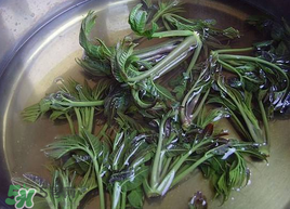 香椿為什么要用開水燙？香椿用開水燙多久？