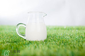 香椿可以和牛奶一起吃嗎？香椿和牛奶能一起吃嗎？