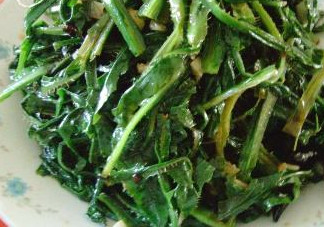 苦苦菜是什么菜？苦苦菜是苦苣嗎