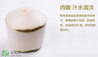 孕婦能不能喝椰青？椰青孕婦能喝嗎？
