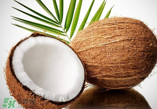 椰青和椰皇的區(qū)別 椰青和椰皇哪個(gè)好？