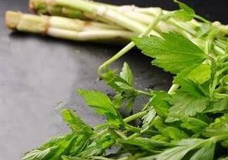 水芹菜的葉子可以吃嗎？水芹菜葉子能吃嗎