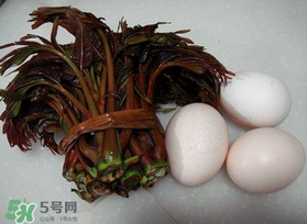 哺乳期可以吃香椿炒雞蛋嗎？哺乳期可以吃香椿炒雞蛋嗎？