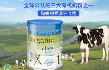貝拉米奶粉報價多少？貝拉米奶粉價格多少？