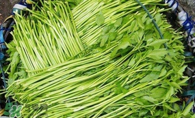 水芹菜怎么吃？水芹菜的做法