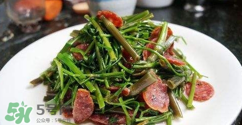 水芹菜孕婦能吃嗎？懷孕的人可以吃水芹菜嗎