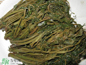 腌香椿要燙嗎？香椿腌之前用不用開水燙？