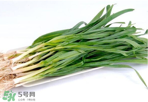 蒜苗發(fā)黃怎么回事？蒜苗發(fā)黃是什么原因？