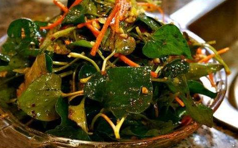 魚腥草根和葉哪個(gè)好？魚腥草根好還是葉子好