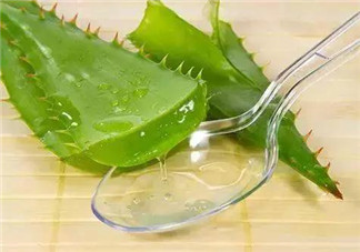 孕婦能喝蘆薈汁嗎？孕婦可以喝蘆薈汁嗎？