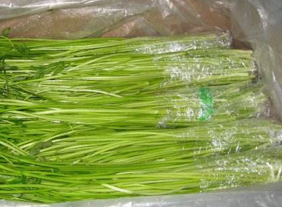 水芹菜如何保鮮？水芹菜怎么保鮮