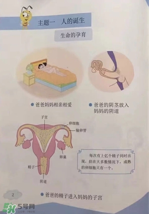 孩子瀏覽成人網(wǎng)站怎么辦？小學(xué)性教育有沒有必要？