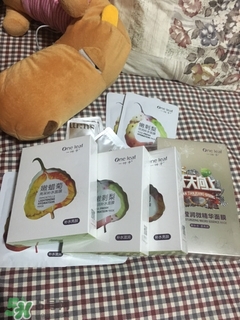 一葉子適合什么皮膚？一葉子適合油性肌膚嗎？