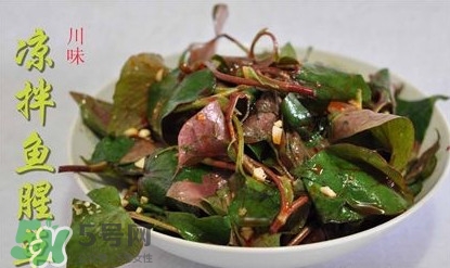 吃魚(yú)腥草可以喝酒嗎？吃魚(yú)腥草能喝酒嗎