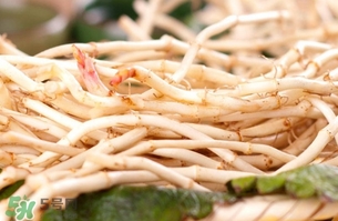 新鮮魚腥草怎么煮水？魚腥草怎么煮水喝