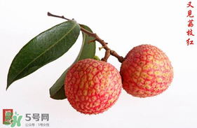 4月份有荔枝嗎？四月份有荔枝嗎？