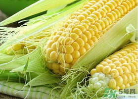 四月份的玉米能吃嗎？四月份有玉米嗎？