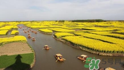 四月份去哪里旅游比較好？四月份最適合旅游的地方