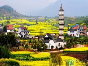 四月份去哪里旅游比較好？四月份最適合旅游的地方