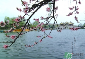 四月份去哪里旅游比較好？四月份最適合旅游的地方