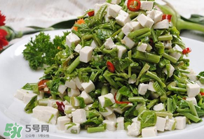 香椿可以助孕嗎？香椿有助孕的功效嗎？