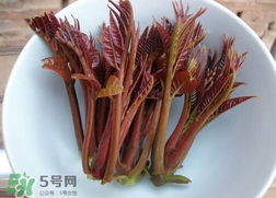 香椿和雞肉可同吃嗎？香椿和雞肉能一起吃嗎？