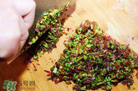香椿和鴨肉能一起吃嗎？香椿和鴨肉可以同時吃嗎？
