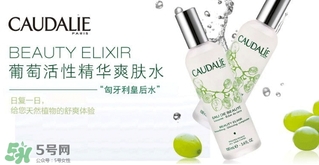 歐緹麗和悅木之源哪個好？歐緹麗皇后水和悅木之源菌菇水
