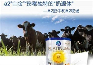 A2奶粉分白金和鉑金嗎？A2奶粉白金鉑金有區(qū)別嗎？