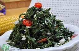 苦菜對人有什么好處？苦菜有什么功效