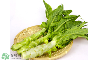 萵筍能放冰箱嗎？萵筍放冰箱能吃嗎？