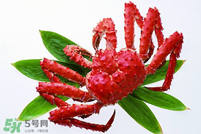 香椿能和海鮮一起吃嗎？香椿和海鮮能一起吃嗎？