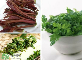 香椿和香菜能一起吃嗎？香椿和香菜怎么做？