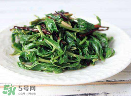 香椿和芹菜能一起吃嗎？香椿可以和芹菜同吃嗎？