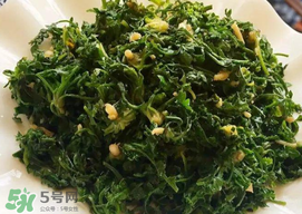 薺菜和香椿能一起吃嗎？薺菜和香椿一起吃好嗎？