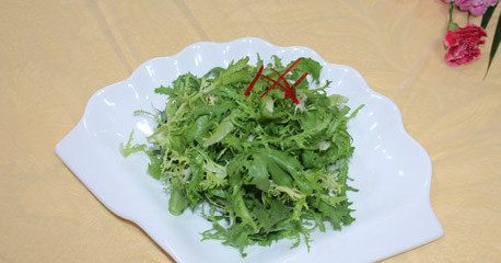 苦菊能和雞蛋一起吃嗎？苦菊可以和雞蛋一起吃嗎