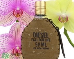 diesel迪塞爾是什么牌子？diesel是哪個國家的？