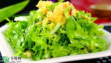 苦菊能和韭菜一起吃嗎？苦菊可以和韭菜一起吃嗎
