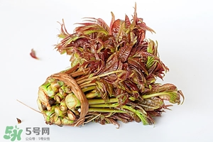 香椿樹什么時候發(fā)芽？香椿樹什么時候種植