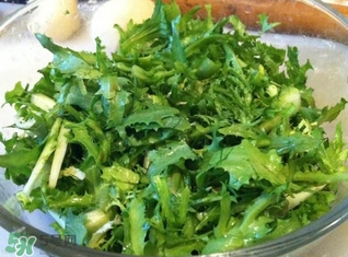 苦菊能炒嗎？苦菊能炒著吃嗎