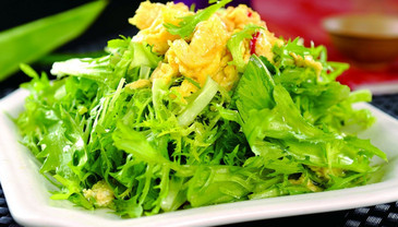 苦菊能和雞蛋一起吃嗎？苦菊可以和雞蛋一起吃嗎