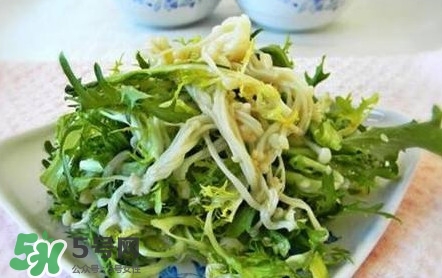 苦菊用不用焯水？涼拌苦菊用開水焯水嗎